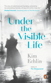 Under the Visible Life 