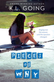 Pieces of Why 