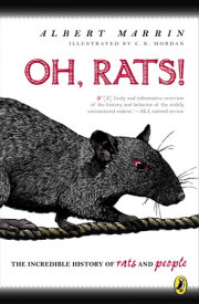 Oh Rats! 