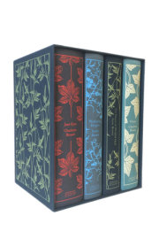 The Brontë Sisters Boxed Set 