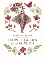 Flower Fairies of the Autumn 