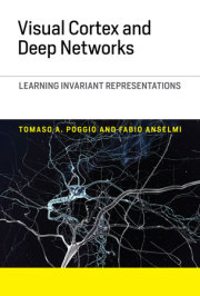 Visual Cortex and Deep Networks 