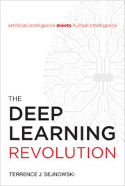 The Deep Learning Revolution 