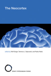 The Neocortex 