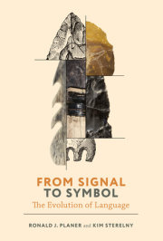 From Signal to Symbol 