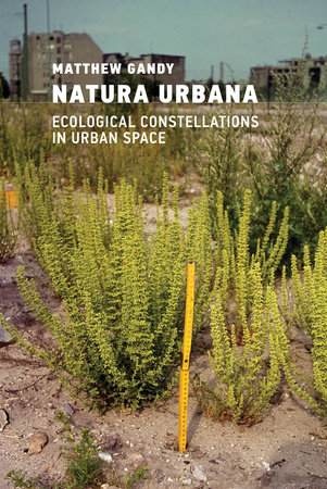 Natura Urbana by Matthew Gandy: 9780262046282 | PenguinRandomHouse.com:  Books