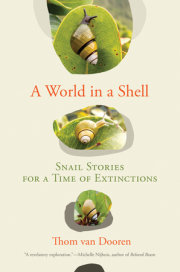 A World in a Shell 