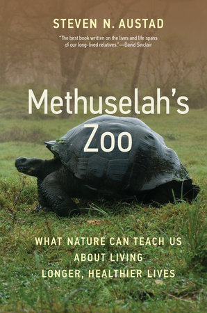 Methuselah's Zoo by Steven N. Austad: 9780262047098 |  : Books