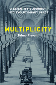 Multiplicity 