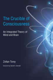 The Crucible of Consciousness 