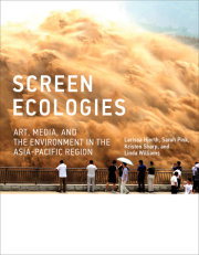 Screen Ecologies 