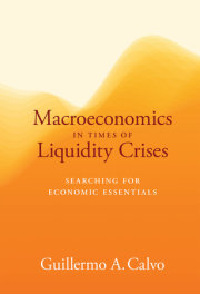 Macroeconomics in Times of Liquidity Crises 