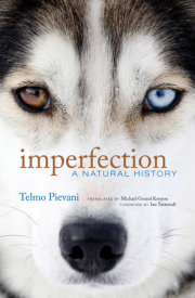 Imperfection 