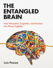 The Entangled Brain 