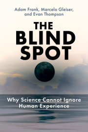 The Blind Spot 