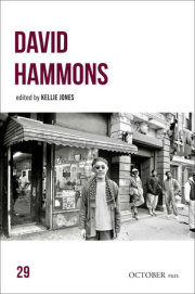 David Hammons 