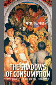 The Shadows of Consumption 