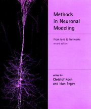 Methods in Neuronal Modeling, second edition 