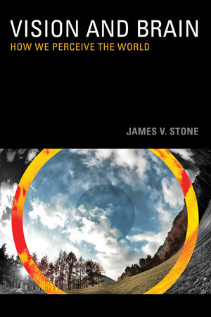 Vision and Brain by James V. Stone: 9780262517737