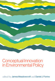 Conceptual Innovation in Environmental Policy 