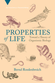 Properties of Life 