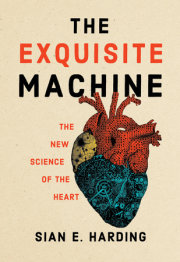 The Exquisite Machine 