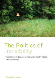 The Politics of Invisibility 