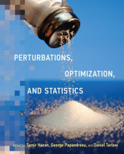 Perturbations, Optimization, and Statistics 