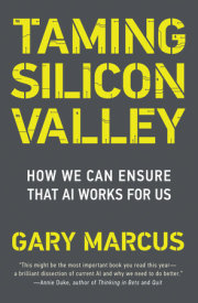 Taming Silicon Valley 