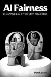 AI Fairness 