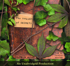 The Valley of Secrets Cover