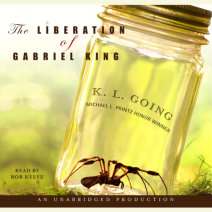 The Liberation of Gabriel King Cover