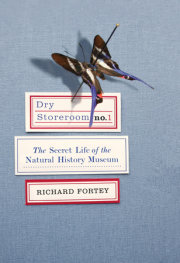 Dry Storeroom No. 1 