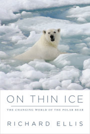 On Thin Ice 