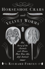Horseshoe Crabs and Velvet Worms 