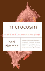 Microcosm