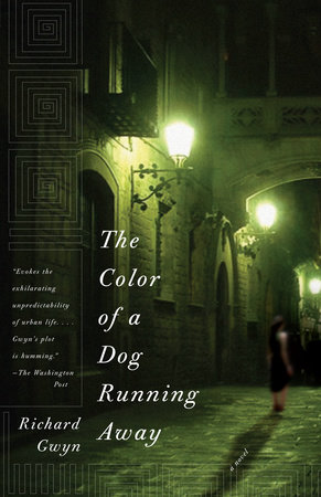 The Color of a Dog Running Away