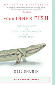 Your Inner Fish 