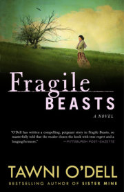 Fragile Beasts 
