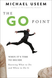 The Go Point 