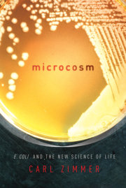 Microcosm