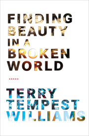 Finding Beauty in a Broken World 