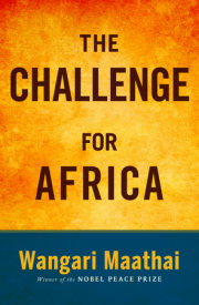 The Challenge for Africa