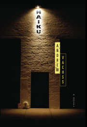 Haiku: A Novel 