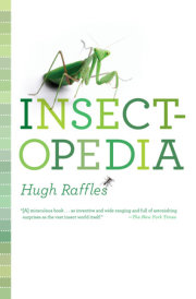 Insectopedia 
