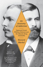 An Anatomy of Addiction 