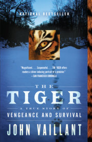 The Tiger 