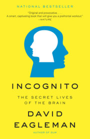 Incognito 