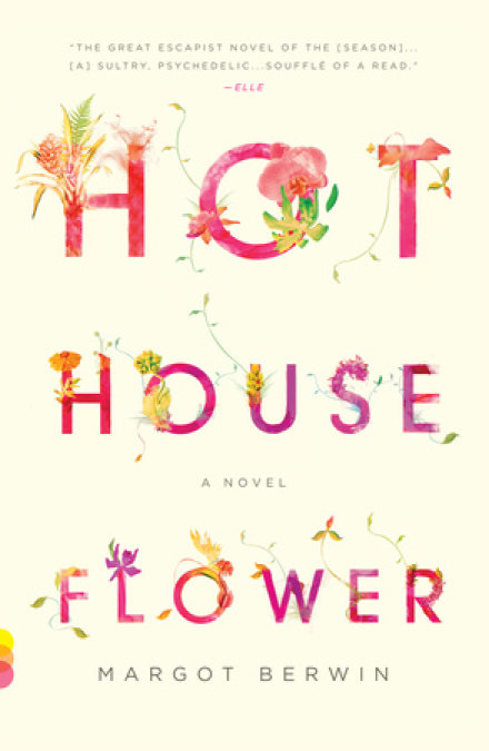 Hothouse Flower