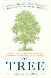 The Tree 